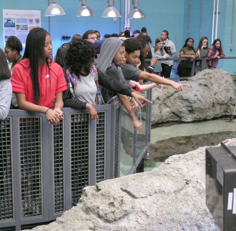 Sandy Creek High School STEM students visit aquarium The Citizen