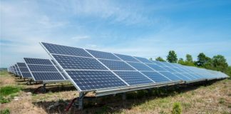 Solar panel array in field. Photo/Shutterstock.