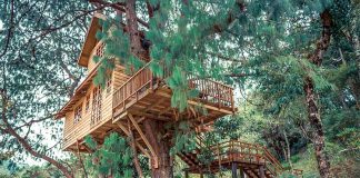 A Shutterstock photo shows a two-story treehouse, location not given.