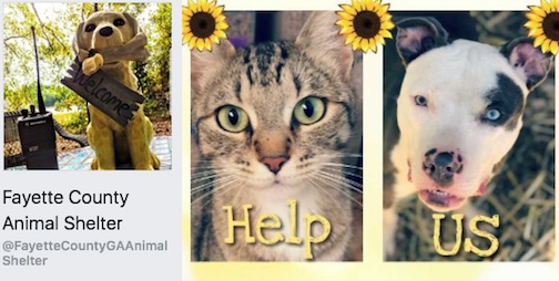 Screen grab of Fayette County Animal Shelter‘s Facebook page.