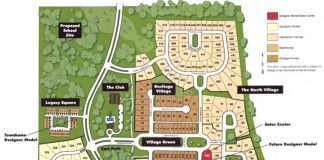 Map of proposed modification of the Everton subdivision in Wilksmoor Village. Townhomes are shown in brown. Graphic/Peachtree City.