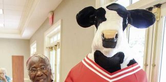 Eliza Spicer celebrates her 100th birthday with the help of a famous cow. Photo/Submitted.