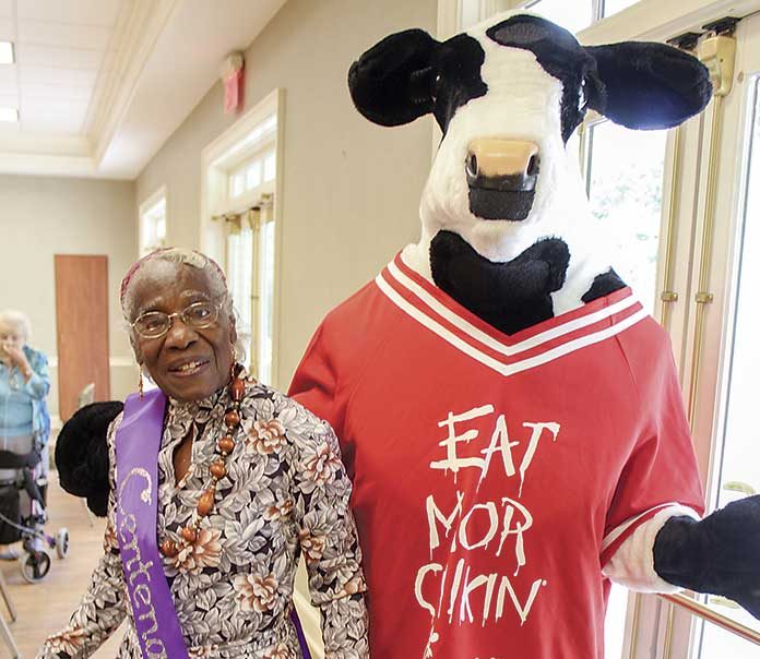 Eliza Spicer celebrates her 100th birthday with the help of a famous cow. Photo/Submitted.