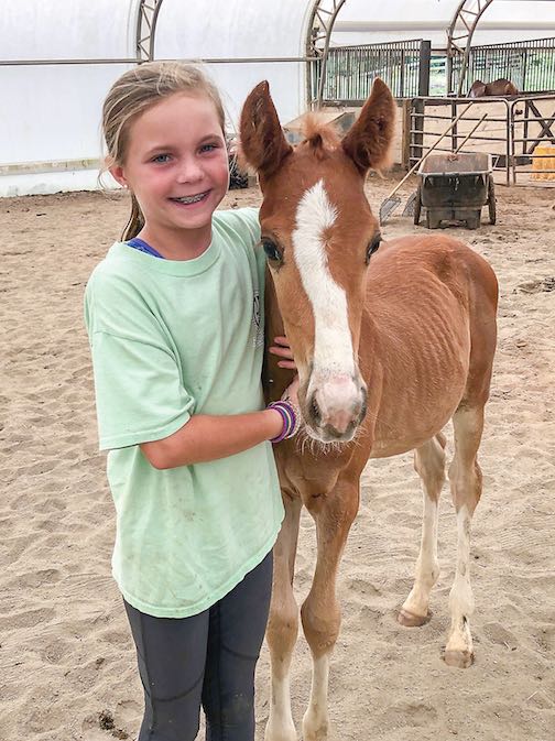 Ten-year-old Coweta County volunteer Ila Pass spends time with a nurse mare foal at the Flying Change farm in Fairburn. Photo/Submitted.