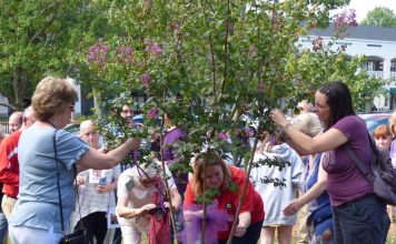 Friends and family of those who lost their lives to drug overdose remembered their loved ones at an Aug. 31 ceremony in downtown Fayetteville, where a Crepe Myrtle was planted at the gazebo. Photo/Ben Nelms.