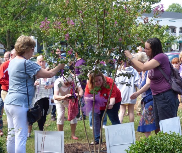 Friends and family of those who lost their lives to drug overdose remembered their loved ones at an Aug. 31 ceremony in downtown Fayetteville, where a Crepe Myrtle was planted at the gazebo. Photo/Ben Nelms.