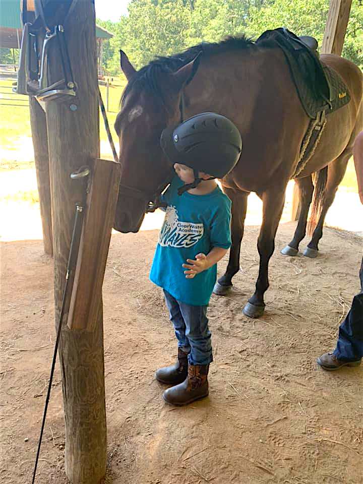 <b>Knox Anderson, 6, pets his therapeutic horse Walker, during equestrian therapy at The Calvin Center in Hampton. Students at ClearWater Academy participate in weekly therapeutic riding as part of their curriculum. Photo/Submitted.</b>