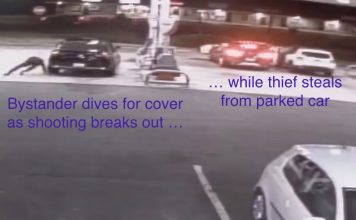 Armed thieves steal from car as bystander dives for cover. From surveillance video.