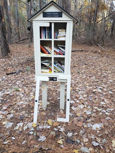 Scout's photo shows damage to mini-library.