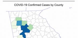 Map of confirmed covid-19 cases in Georgia as of early morning March 13.