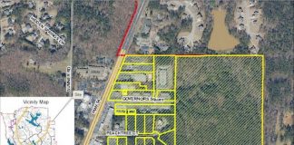 Aerial view of the proposed LUC rezoning area on Peachtree City's east side. Graphic/City of Peachtree City.