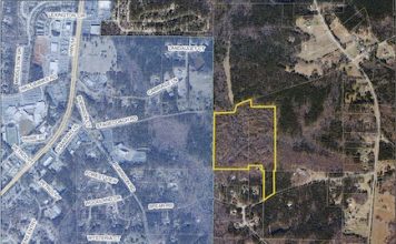 Aerial view shows proposed annexation area. Graphic from Peachtree City Council.