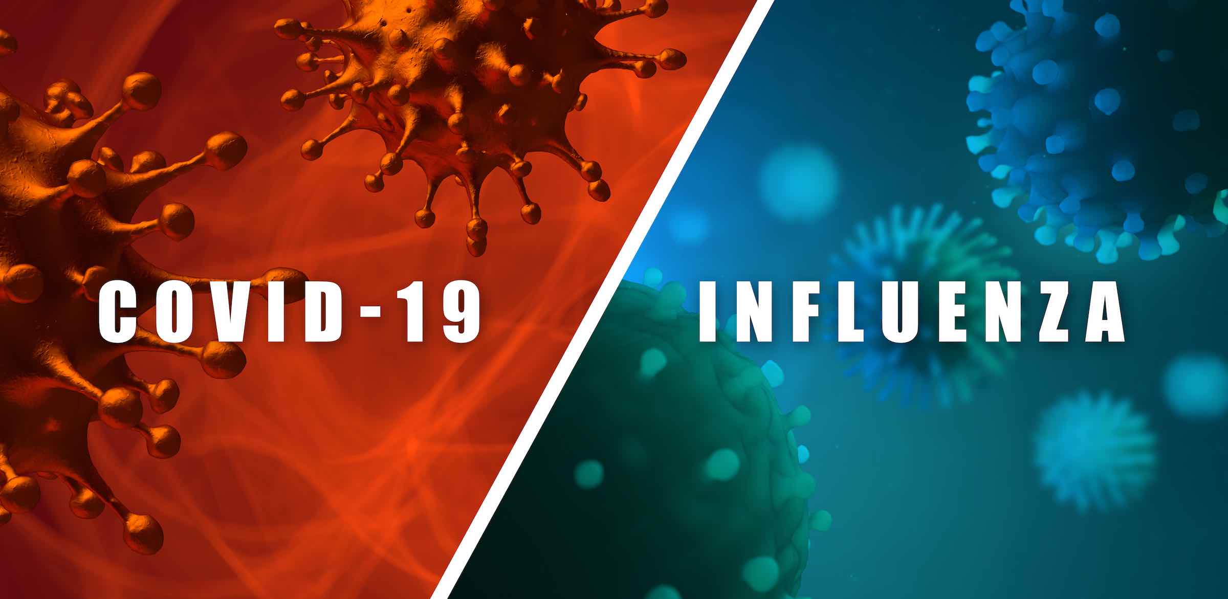 Flu vs. Covid19 How to tell the difference The Citizen