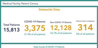Data from the Georgia Department of Public Health showing the current number of Covid-19 patients occupying hospital beds across the state.