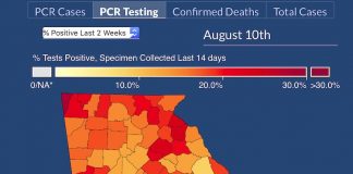 Fayette County south of Atlanta and Jefferson County south of Augusta are depicted as having test-confirmed infection rates of under 5%. Graphic/DPH