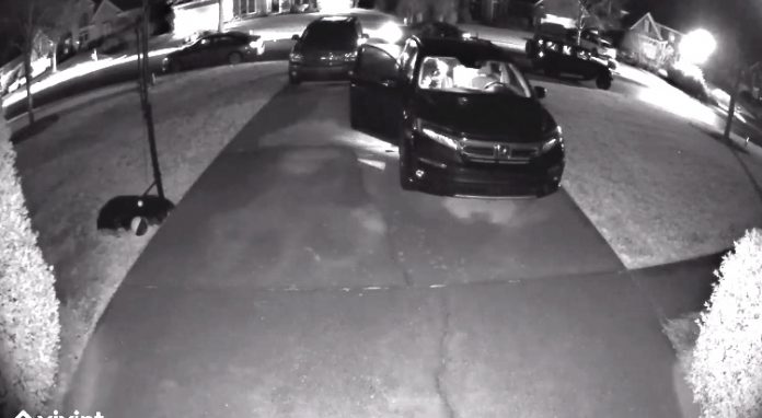 Home surveillance video catches one auto burglar entering unlocked vehicle while others scurry around to get into nearby vehicles in south Peachtree City. Facebook video posted by Peachtree City Police Department.