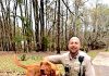 K9 Bloodhound Rufus gets congratulations from Fayette Sheriff's Deputy Lt. S. Whitlock. Photo/Fayette Sheriff's Office Facebook page.