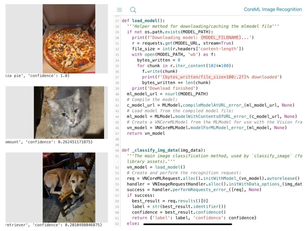 Python program running on an iPad to demonstrate AI image recognition of pictures from my photo roll. It got the pizza and dog correct, but mislabeled my cat as a lynx. Photo/Joe Domaleski