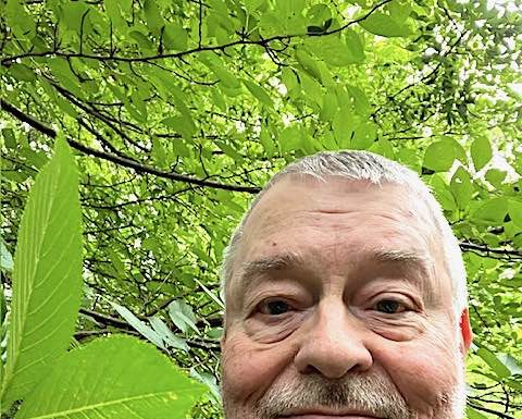 Cal Beverly with his cherry tree. He is editor and publisher of The Citizen since 1993.