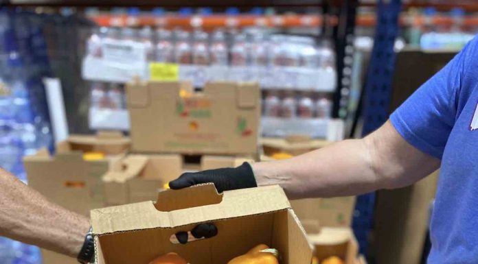 Volunteers load fresh vegetables for distribution to charities across the South from Midwest Food Bank in Peachtree City. Photo/Jack Bernard.