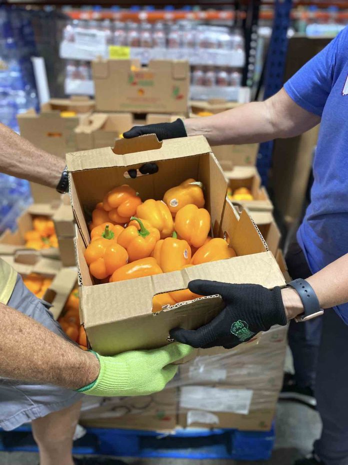 Volunteers load fresh vegetables for distribution to charities across the South from Midwest Food Bank in Peachtree City. Photo/Jack Bernard.