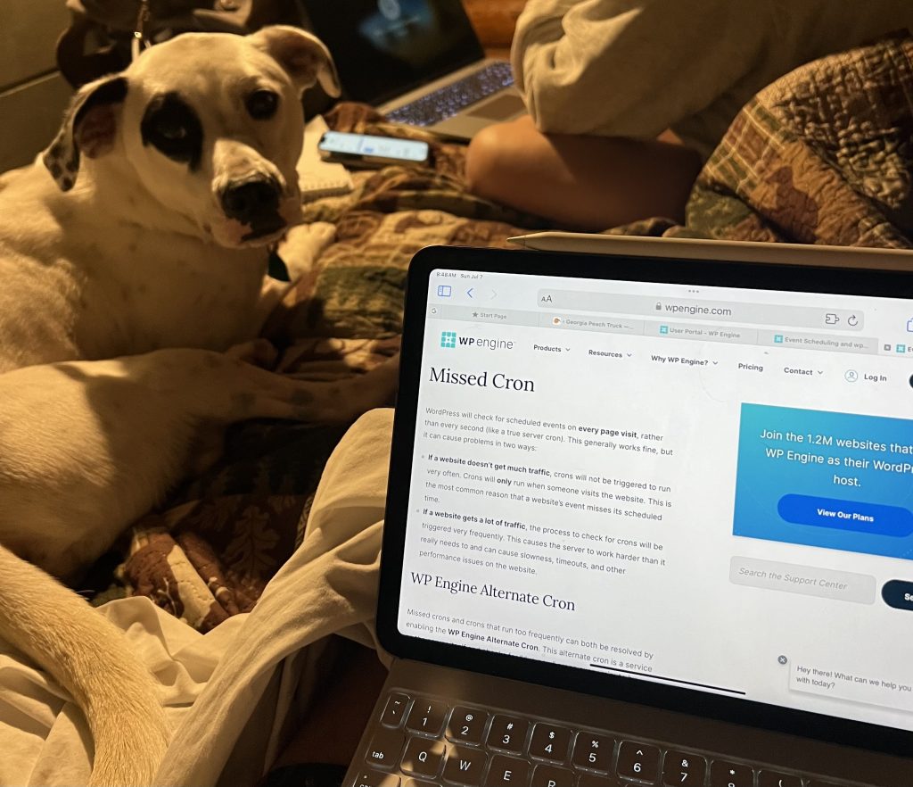 Sometimes being on the front lines means working during a holiday weekend. Our dog Loki looks on while I research a problem for one of our high-profile web support clients from our cabin on Lake Hartwell 7/7/24. Photo/Joe Domaleski