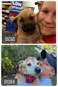 Thor's first day with us in 2012 and his last day with us in 2024. Photo/Joe Domaleski