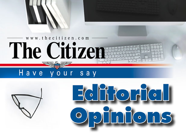 thecitizen.com